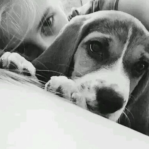 Meet your Posher, Richard - Picture 1 of 1